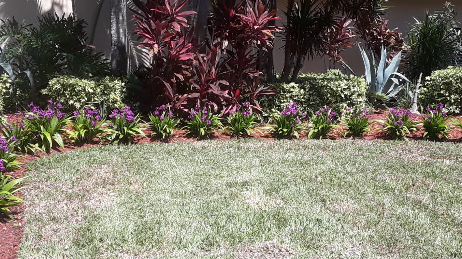 PASCUAL LANDSCAPE Image